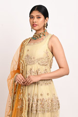 Beige Embellished Anarkali SetDSC_3193