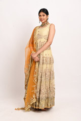Beige Embellished Anarkali SetDSC_3198