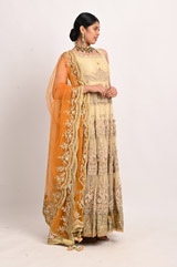 Beige Embellished Anarkali SetDSC_3214