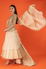 Beige Gold Embroidered Gown Flare GownDSC02854