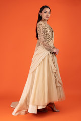 Beige Gold Embroidered Gown Flare GownDSC02855