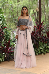 Net Embroidered LehengaIMG_2805