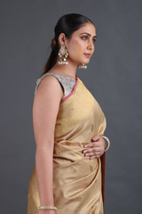 Beige Silk SareeIMG_9507