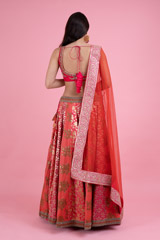 Red And Pink Panelled Banarsi LehengaDSC02959