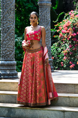 Red And Pink Panelled Banarsi Lehenga_DSC6439