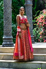 Red And Pink Panelled Banarsi Lehenga_DSC6442