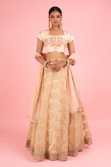 Gota Embriodered AnarkaliDSC03083