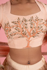 Gota Embriodered AnarkaliDSC03085