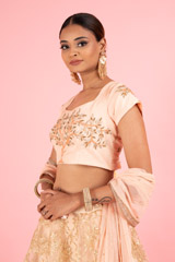 Gota Embriodered AnarkaliDSC03086