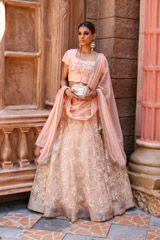 Gota Embriodered AnarkaliIMG_0145