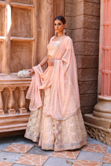 Gota Embriodered AnarkaliIMG_0160