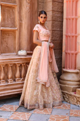 Gota Embriodered AnarkaliIMG_0165