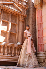 Gota Embriodered AnarkaliIMG_0166