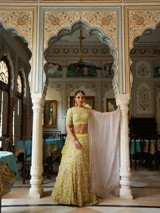 Fluorescent Green LehengaDSC03902
