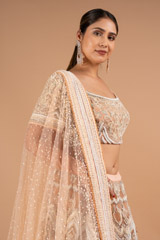 Peach Embroidered LehengaDSC02248