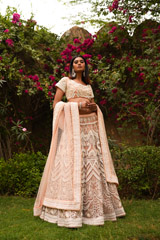 Peach Embroidered Lehenga