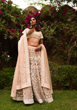 Peach Embroidered LehengaDSC05692