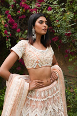 Peach Embroidered LehengaDSC05699