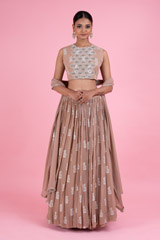 Beige Ambi Paisley Lehenga SetDSC02939