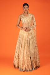 Tulle Pleated LehengaDSC03035