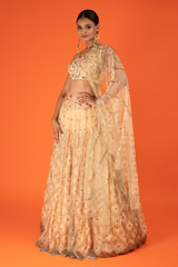 Tulle Pleated LehengaDSC03037