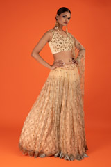 Tulle Pleated LehengaDSC03038