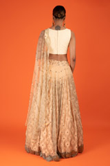 Tulle Pleated LehengaDSC03040