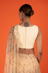 Tulle Pleated LehengaDSC03041