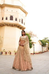 Tulle Pleated LehengaDSC04908