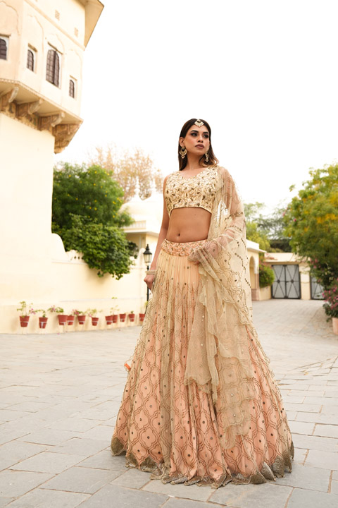 Tulle Pleated Lehenga