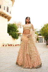 Tulle Pleated Lehenga
