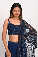 Blue Sequinned SareeDSC_3141