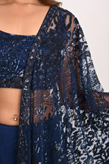 Blue Sequinned SareeDSC_3147