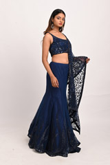 Blue Sequinned SareeDSC_3152