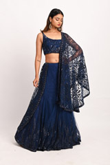 Blue Sequinned SareeDSC_3174