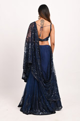 Blue Sequinned SareeDSC_3180