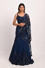 Blue Sequinned SareeDSC_3184