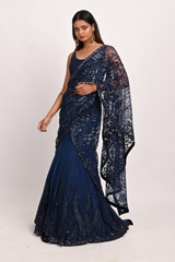 Blue Sequinned SareeDSC_3190