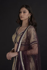 Cream Floral Embroidered Lehenga Set_SUB7824