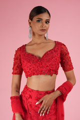 Heavy Trail LehengaDSC02377