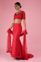 Heavy Trail LehengaDSC02378