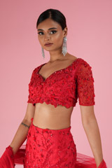 Heavy Trail LehengaDSC02379