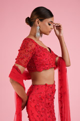 Heavy Trail LehengaDSC02381