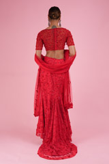 Heavy Trail LehengaDSC02382