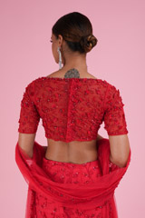 Heavy Trail LehengaDSC02383