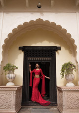 Heavy Trail LehengaDSC05338