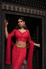 Heavy Trail LehengaDSC05342