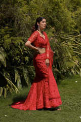 Heavy Trail LehengaIMG_6987