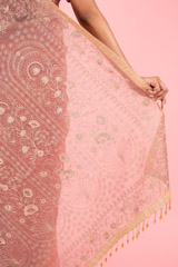 Pink Organza Saree BlouseDSC02551