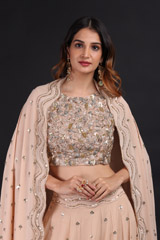 Beige Waves Butis LehengaIMG_0184